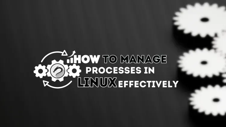Thumbnail for Mastering Process Management in Linux